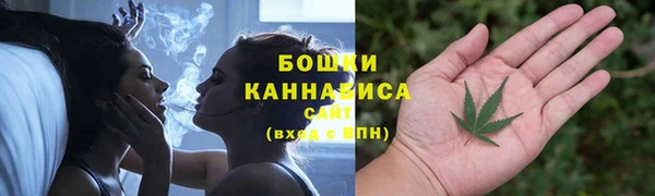 бошки Богданович