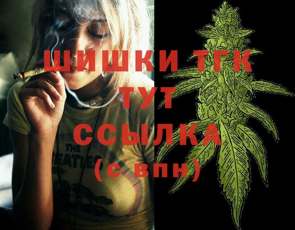 дмт Богородск
