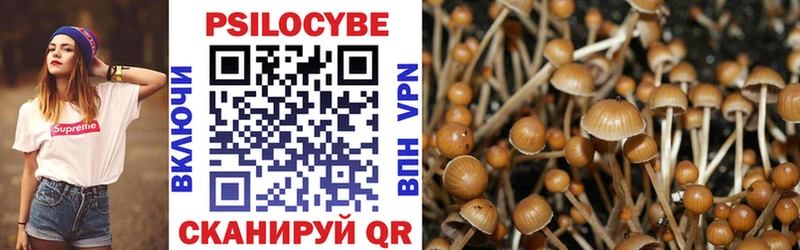 Купить закладки Анжеро-Судженск Псилоцибиновые грибы Psilocybe